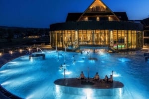 Da Cracovia: passeggiata sulle cime degli alberi in Slovacchia e tour delle terme