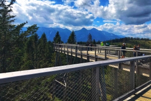 Fra Krakow: Treetop Walk & Zakopane-besøk i liten gruppe