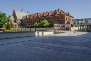De Cracóvia: Visita a Wadowice e ao Santuário da Divina Misericórdia