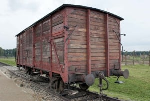 From Krakow: Wieliczka Salt Mine & Auschwitz Guided Trip