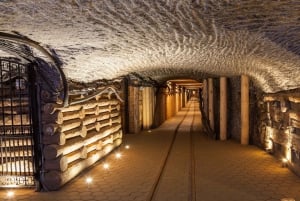 Van Krakau: rondleiding Wieliczka-zoutmijn en Auschwitz