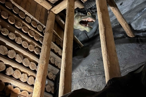 Från Krakow: Wieliczka saltgruva guidad tur (hämtning på hotellet)