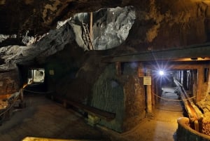 Tour guidato alla miniera di sale di Wieliczka con biglietti salta fila