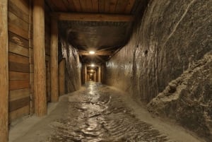 Tour guidato alla miniera di sale di Wieliczka con biglietti salta fila
