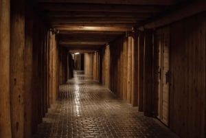 From Krakow: Wieliczka Salt Mine Guided Tour