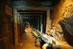 Fra Krakow: Guidet tur til Wieliczka-saltgruven