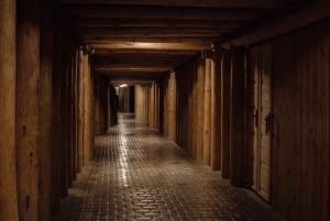 De Cracóvia: tour guiado pela mina de sal de Wieliczka