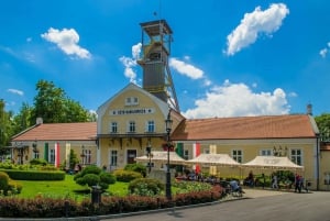 Vanuit Krakau: Wieliczka zoutmijn uitstapje & rondleiding