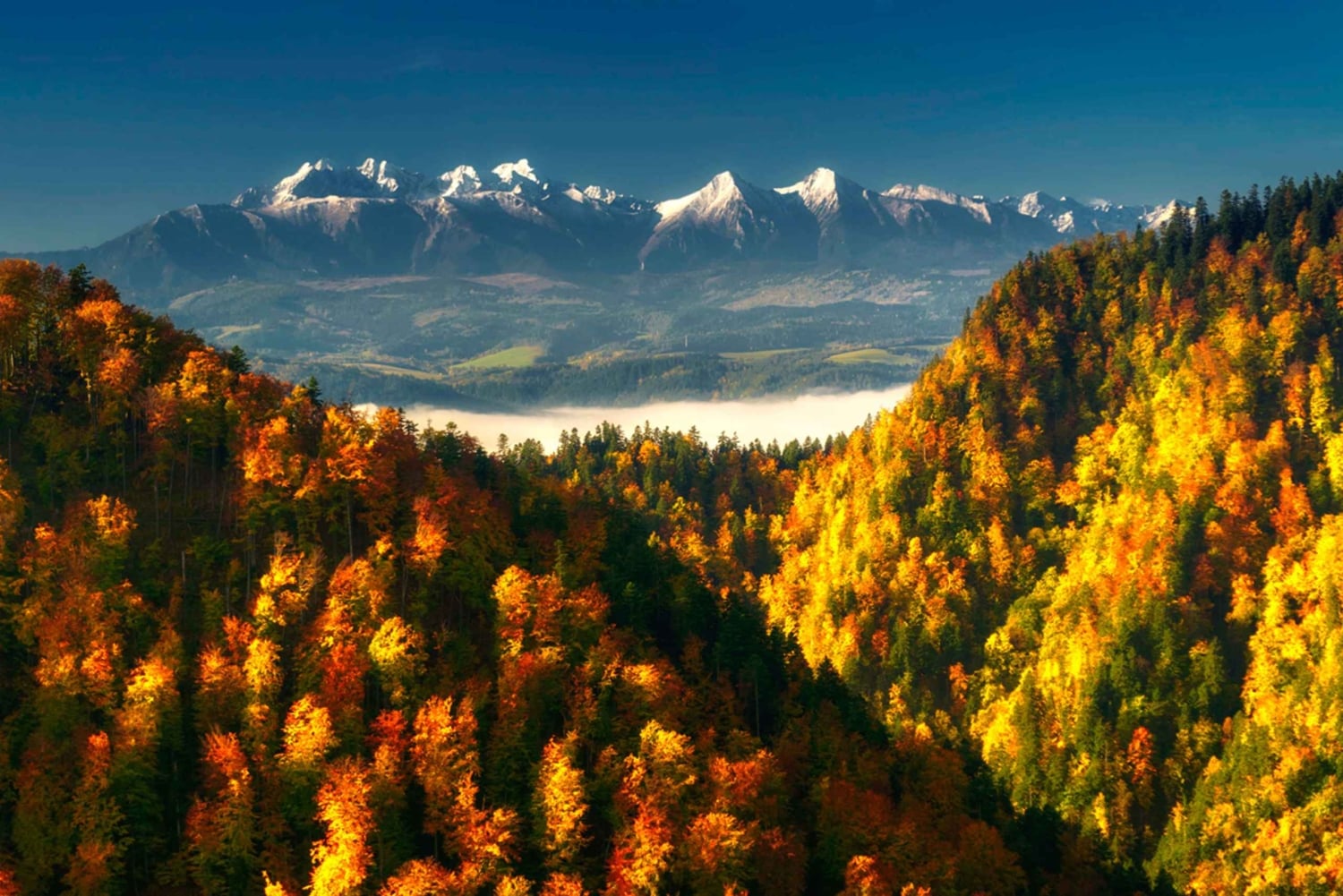Vanuit Krakau: Witów Skiën en Zakopane Tour