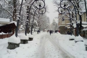 Au départ de Cracovie : Ski à Witów et visite de Zakopane