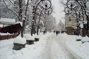 Vanuit Krakau: Witów Skiën en Zakopane Tour