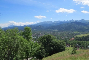 Krakovasta: Zakopane ja Dunajec-joen koskenlaskukierros