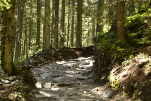 From Krakow: Zakopane and Tatra Mountains Full-Day Trip