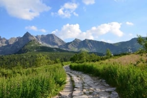 Da Cracovia: Tour privato di Zakopane e dei Monti Tatra
