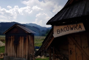 Da Cracovia: Tour privato di Zakopane e dei Monti Tatra
