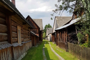 Au départ de Cracovie : Zakopane et les Tatras visite privée