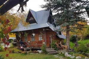 Au départ de Cracovie : Zakopane et les Tatras visite privée