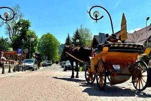 Desde Cracovia: Excursión de un día a Zakopane y los Baños Termales