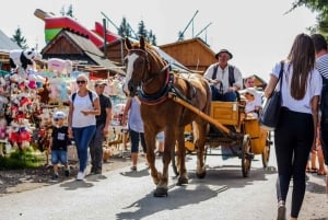 De Cracóvia: Viagem de 1 dia a Zakopane e Banhos Termais