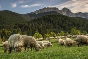 From Krakow: Zakopane and Thermal Springs Private Tour