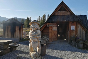 From Krakow: Zakopane and Thermal Springs Private Tour