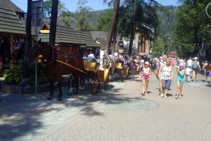 From Krakow: Zakopane and Thermal Springs Private Tour