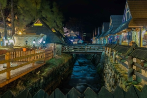 Krakow: Zakopane, taubane, smaking, dagstur til termiske bad