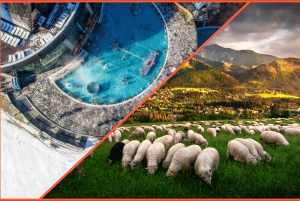 Krakow: Zakopane, taubane, smaking, dagstur til termiske bad