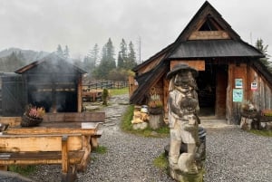 From Krakow: Zakopane City Tour with Thermal Baths