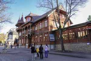 Da Cracovia: Zakopane Day Tour e bagno termale facoltativo
