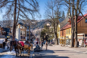 From Krakow: Zakopane Day Trip with Cable Car & Tastings