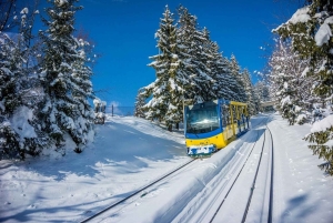 Von Krakau aus: Tagestour nach Zakopane mit Standseilbahn und Verkostung