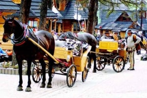 Desde Cracovia: Zakopane Tour de día completo y baños termales