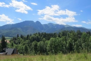 Ab Krakau: Tagestour nach Zakopane mit Lunch-Option
