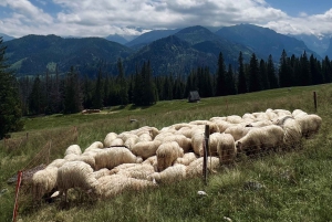 From Krakow: Zakopane Private Day Tour By Luxurious SUV