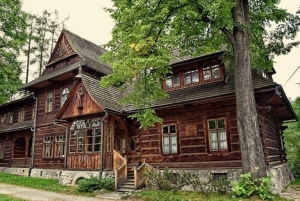 Krakovasta: yksityinen matkapäivä Zakopaneen