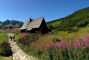 From Krakow: Zakopane Private Day Trip with Thermal Pools