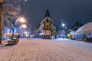 Da Cracovia: Zakopane, giro in slitta e tour dei bagni termali