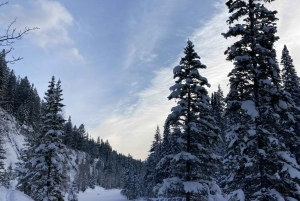 Krakovasta: Zakopane-rekiretki Chochołów-laaksossa