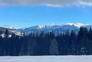Desde Cracovia: Paseo Nocturno en Moto de Nieve por Zakopane, Hoguera,