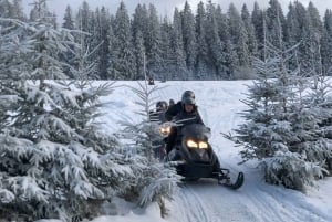 Desde Cracovia: Paseo Nocturno en Moto de Nieve por Zakopane, Hoguera,