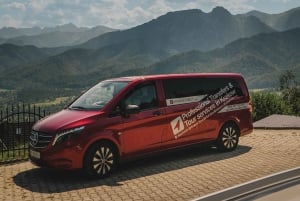 Fra Krakow: Zakopane-tur med svævebane + smagsprøver og afhentning