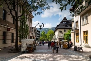 Vanuit Krakau: Zakopane Tour met Tunnel Gubalowka & Museum