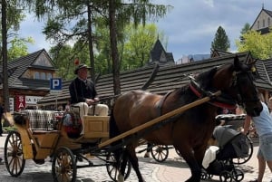 De Cracóvia: Excursão a Zakopane com entrada para os banhos termais