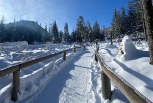 From Krakow: Zakopane Tour with Thermal Spa & Hotel Pickup