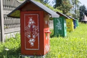 Vanuit Krakau: Zalipie-tour met museumtoegangsticket