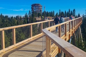 From Krakow: Slovakia Treetop Walk, Zakopane & Thermal Spa