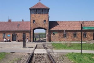 From Warsaw: Auschwitz and Krakow Old Town Private Tour