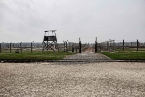 Fra Warszawa: Auschwitz-Birkenau guidet tur med hurtigtog