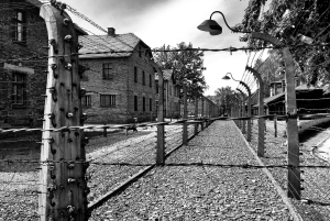 Fra Warszawa: Auschwitz-Birkenau guidet tur med hurtigtog